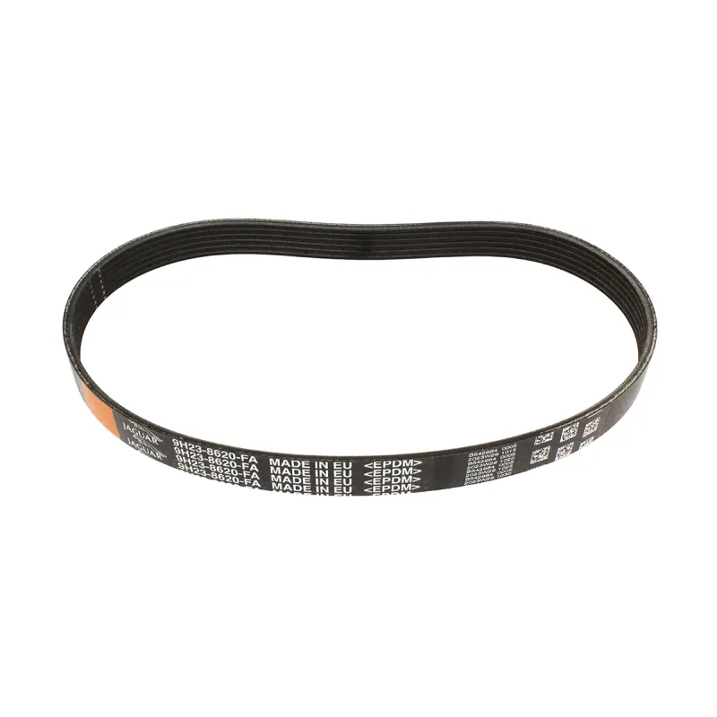 Belt - Accessory Drive