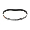 Belt - Accessory Drive