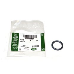 O-Ring