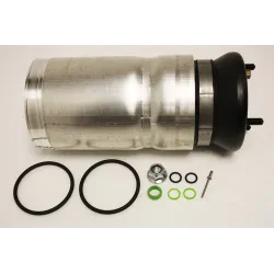 SPRING ASSEMBLY - AIR - FRONT SUSPENSION