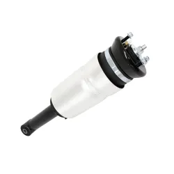 SHOCK ABSORBER & AIR SPRING