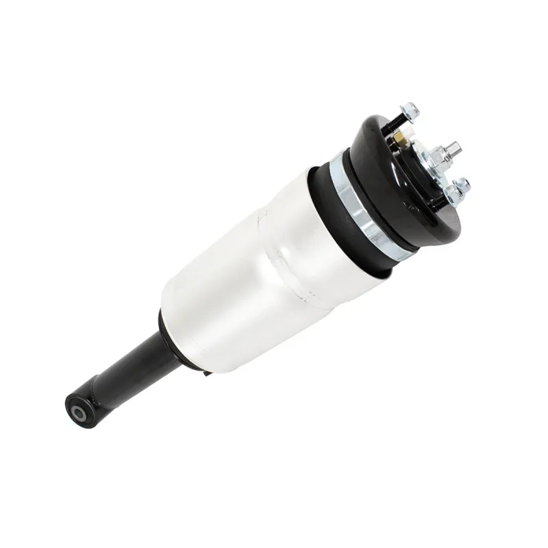 SHOCK ABSORBER & AIR SPRING
