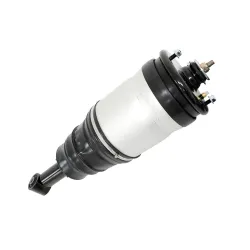 SHOCK ABSORBER & AIR SPRING
