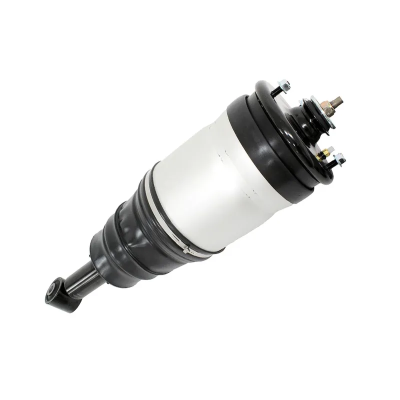 SHOCK ABSORBER & AIR SPRING