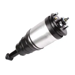 SHOCK ABSORBER & AIR SPRING