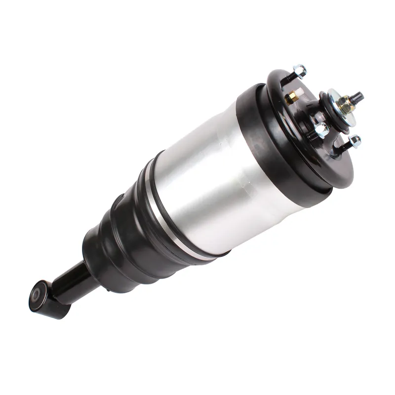 SHOCK ABSORBER & AIR SPRING