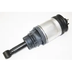 DAMPER ASSEMBLY - REAR SUSPENSION