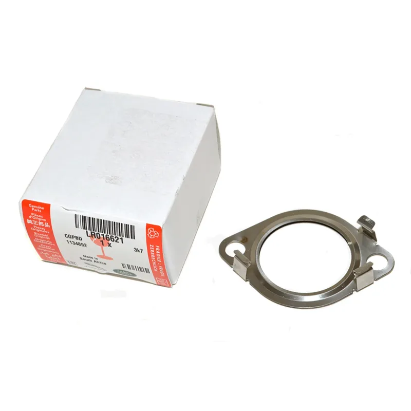 Gasket - Exhaust Pipe