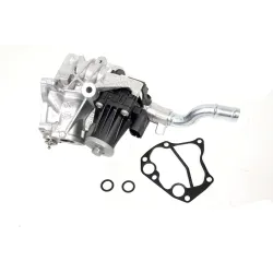 EGR VALVE AND GASKET
