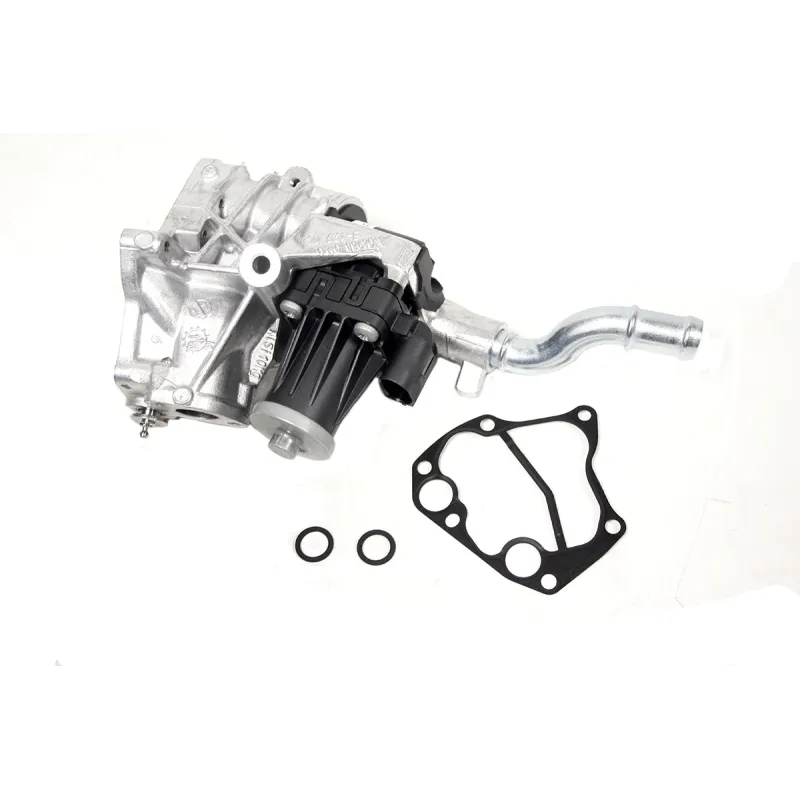 EGR VALVE AND GASKET