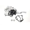 EGR VALVE AND GASKET
