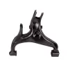 ARM ASSY - LH REAR SUSPENSION - RRS 05-0