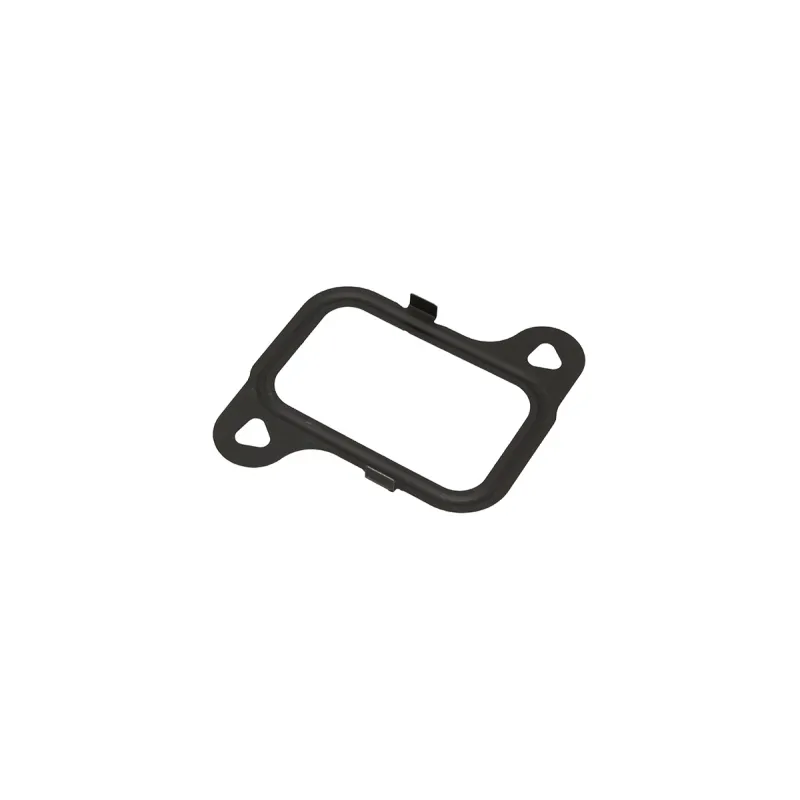 Gasket - EGR Inlet