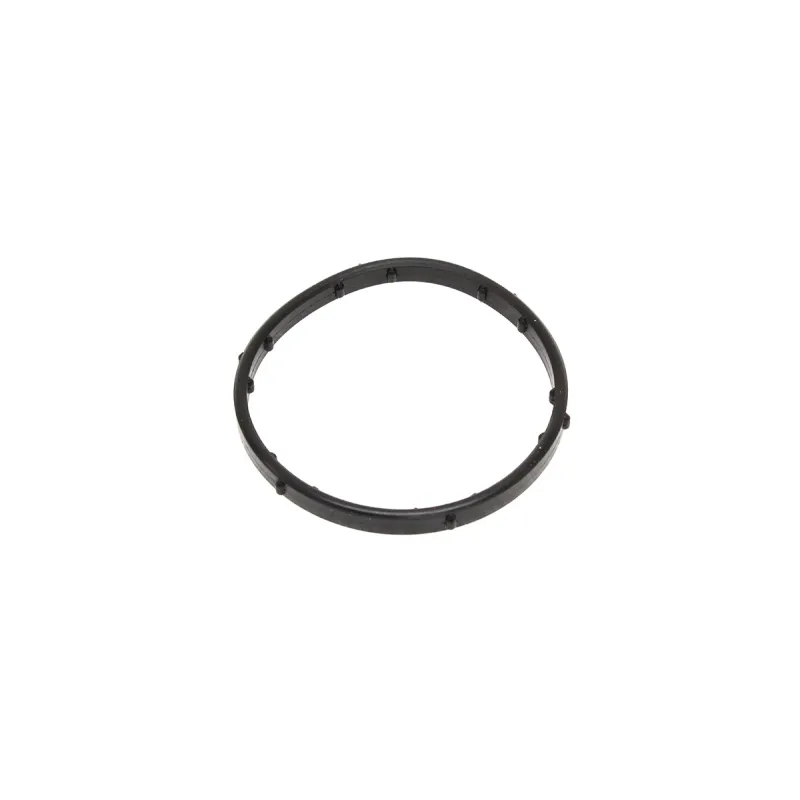 GASKET - THERMOSTAT
