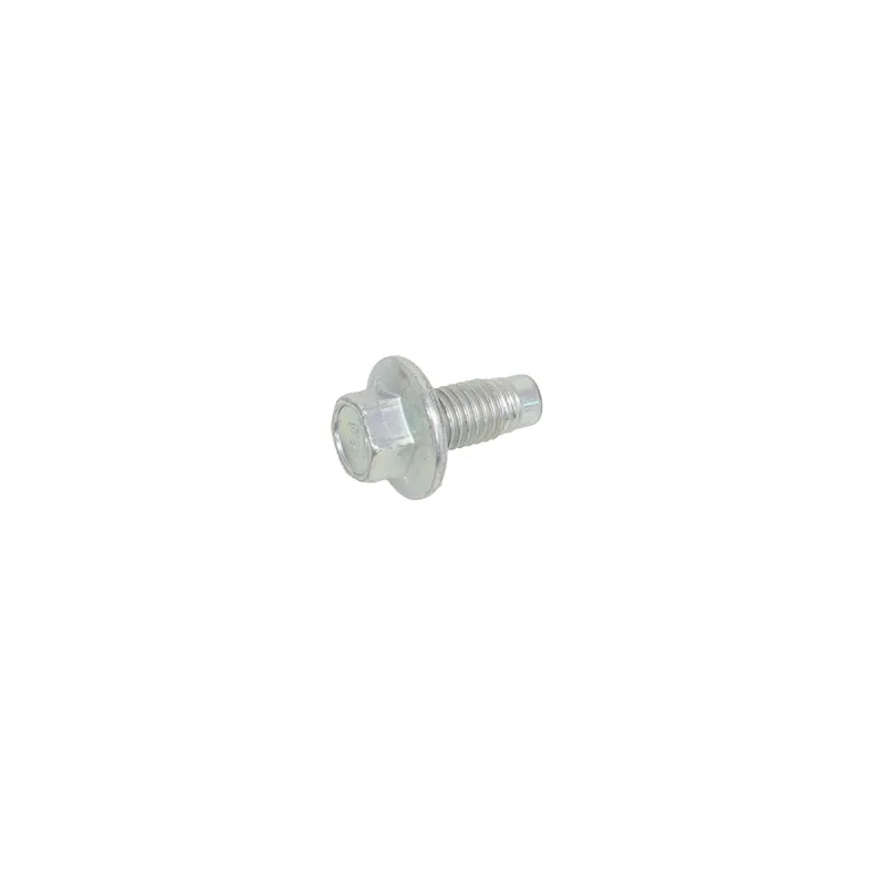 PLUG - OIL DRAIN