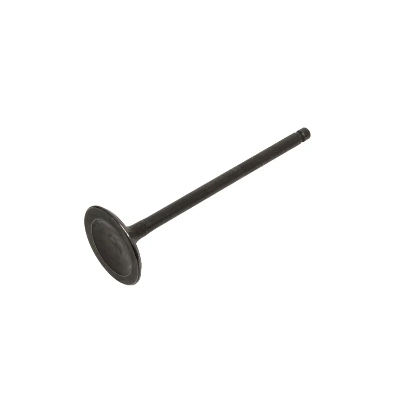 INLET VALVE