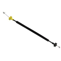Cable