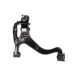 ARM - LOWER SUSPENSION - LH - RS1