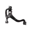 ARM - LOWER SUSPENSION - LH - RS1