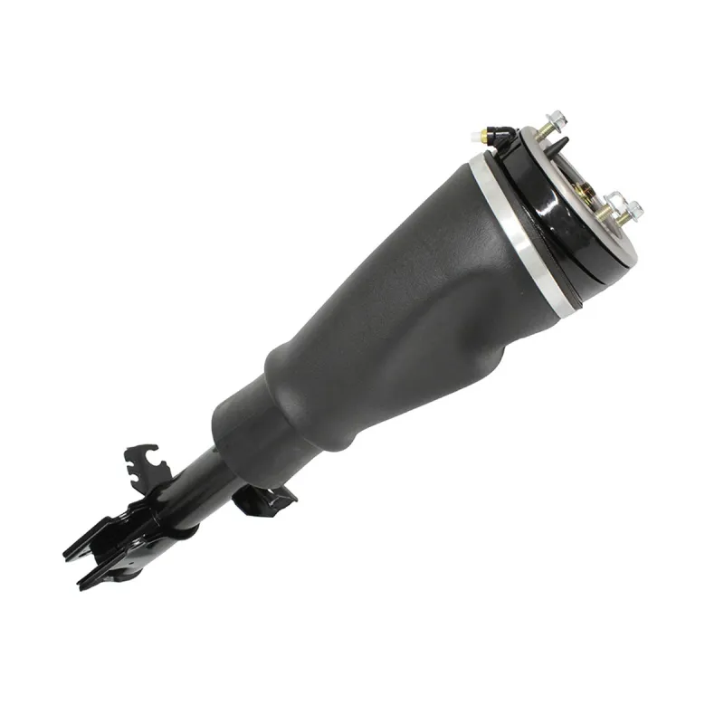 SHOCK ABSORBER & AIR SPRING