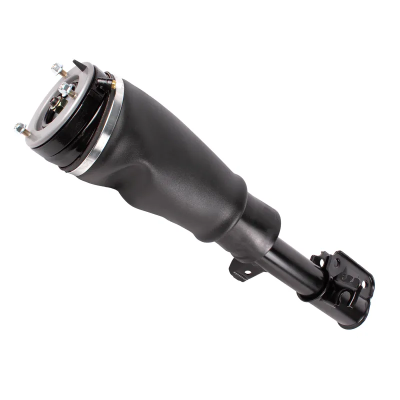 SHOCK ABSORBER & AIR SPRING