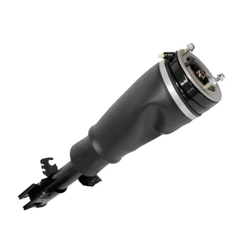 SHOCK ABSORBER & AIR SPRING