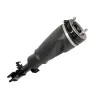 SHOCK ABSORBER & AIR SPRING