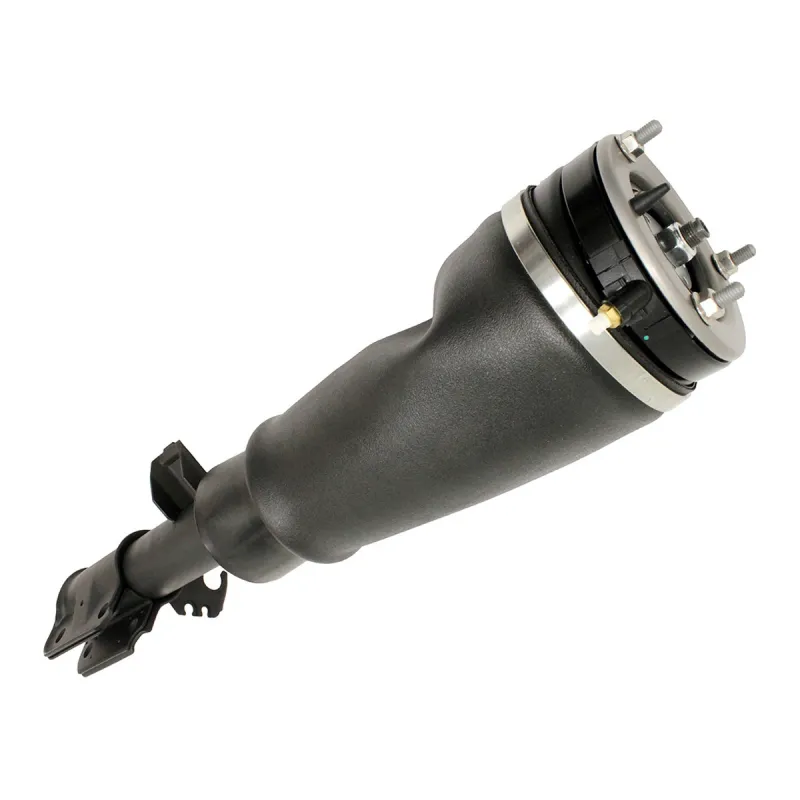 SHOCK ABSORBER & AIR SPRING
