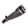 SHOCK ABSORBER & AIR SPRING