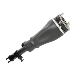 SHOCK ABSORBER & AIR SPRING