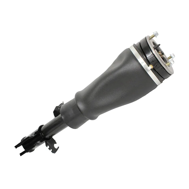 SHOCK ABSORBER & AIR SPRING