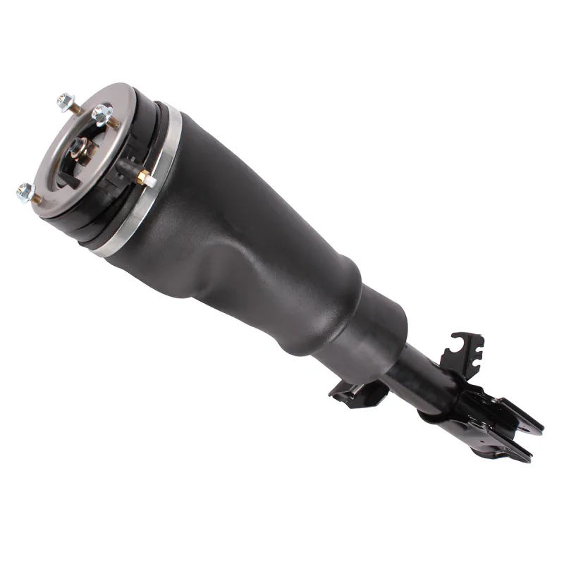 SHOCK ABSORBER & AIR SPRING