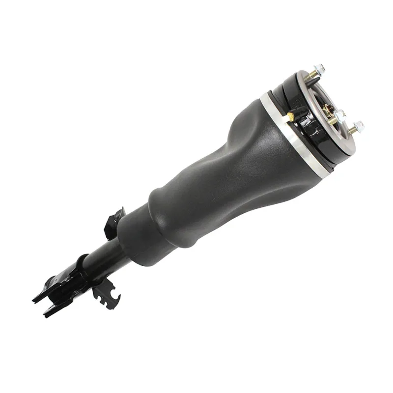 SHOCK ABSORBER & AIR SPRING