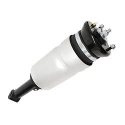SHOCK ABSORBER & AIR SPRING