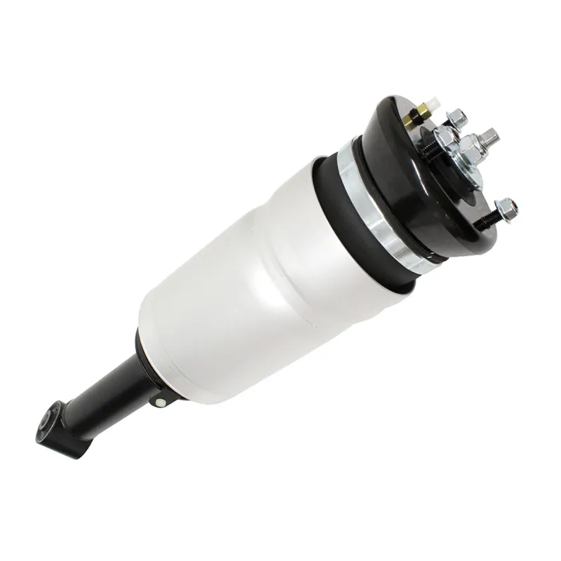 SHOCK ABSORBER & AIR SPRING