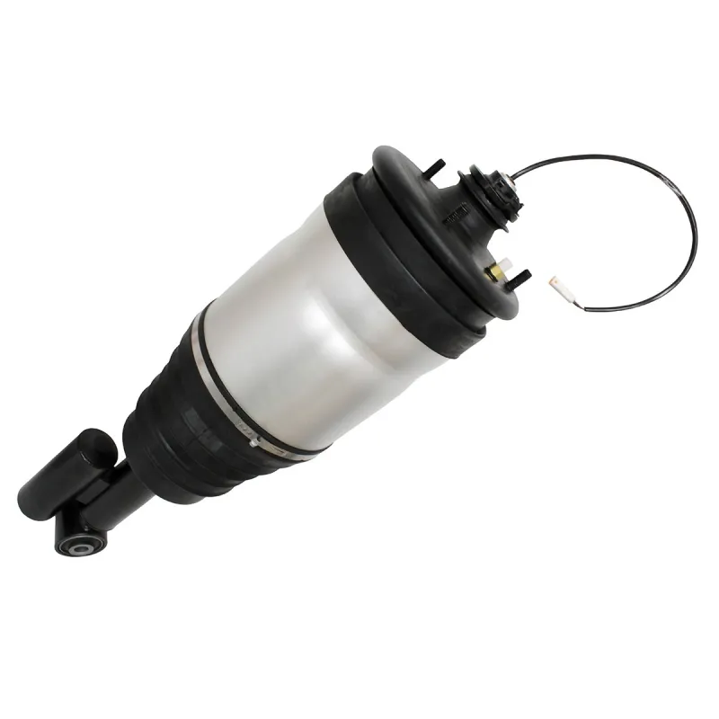 SHOCK ABSORBER & AIR SPRING