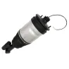 SHOCK ABSORBER & AIR SPRING