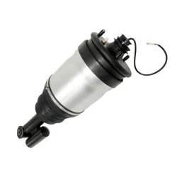 SHOCK ABSORBER & AIR SPRING