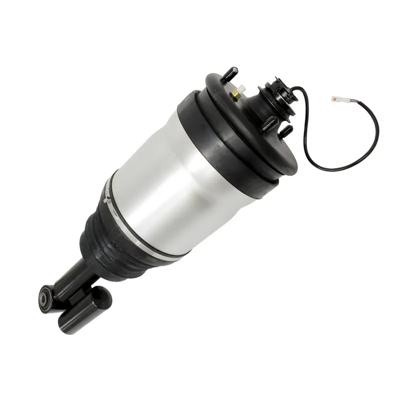 SHOCK ABSORBER & AIR SPRING