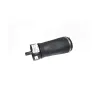 SPRING - AIR SUSPENSION