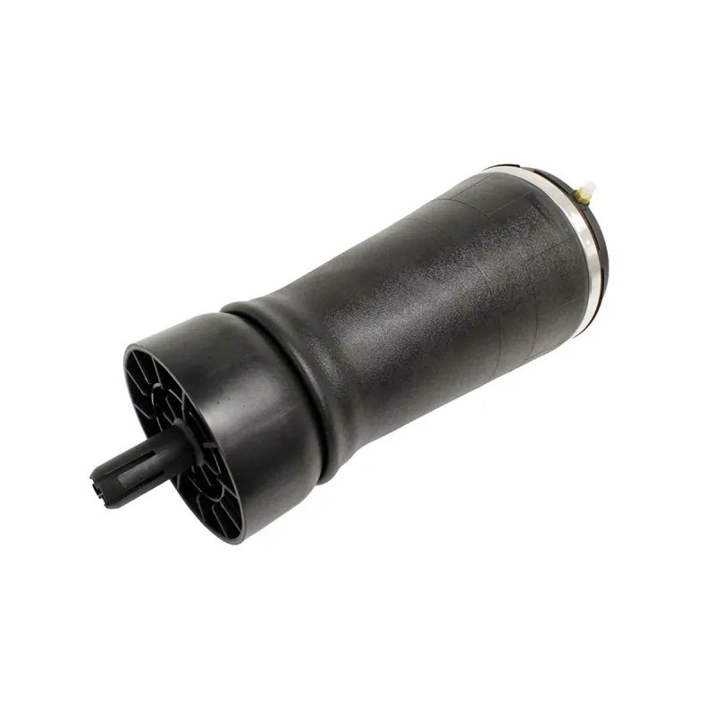 AIR SPRING