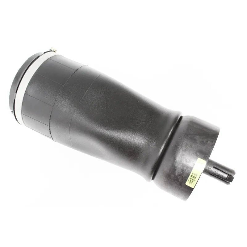 SPRING - AIR SUSPENSION