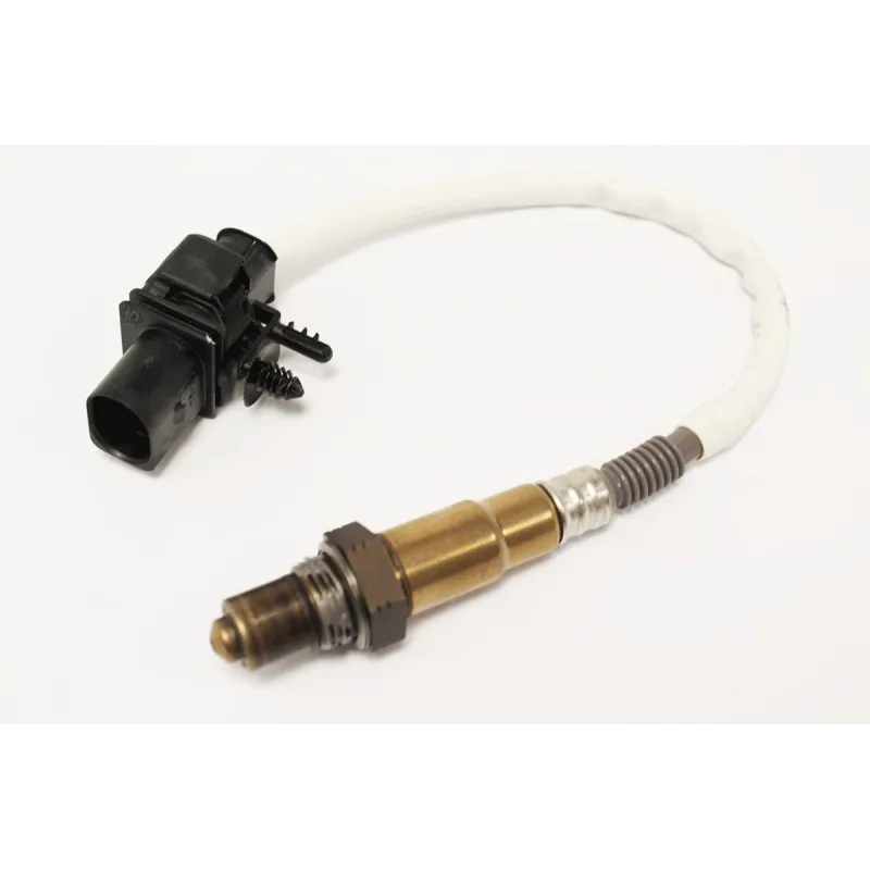HEGO SENSOR
