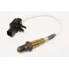 HEGO SENSOR