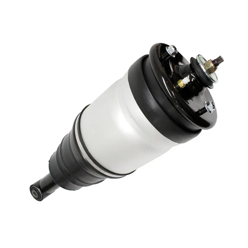 SHOCK ABSORBER & AIR SPRING