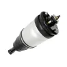 SHOCK ABSORBER & AIR SPRING