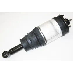 SHOCK ABSORBER ASSY