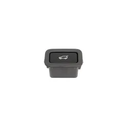 SWITCH - TAILGATE