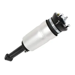 SHOCK ABSORBER & AIR SPRING