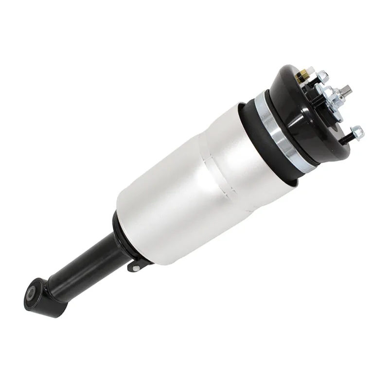 SHOCK ABSORBER & AIR SPRING